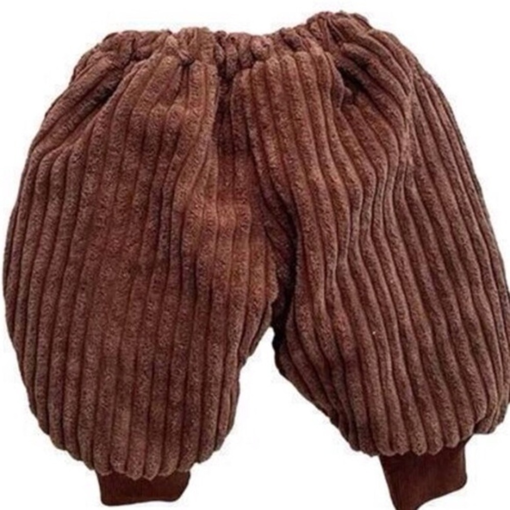 New  thick, warmly lined corduroy pants 3T